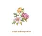 Camelia-60x45mmx1un.jpg