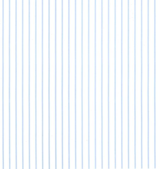 Filete Azul Claro - Porcelana 1