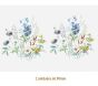 D_Meadow-90mmx2un_A.jpg