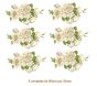 Mistflower-90x56mmx6un.jpg