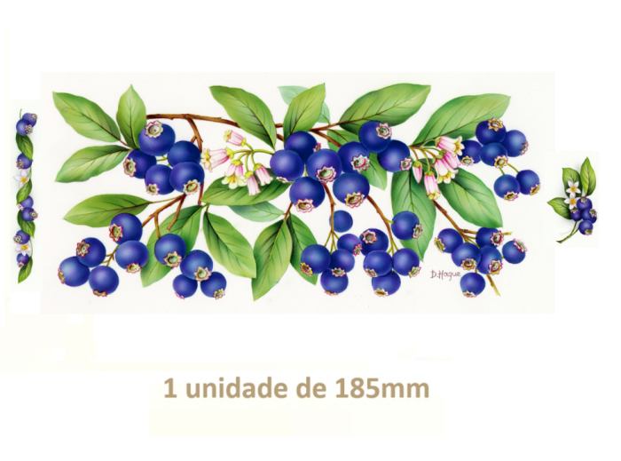 Blueberries - 185mm x 1un 1