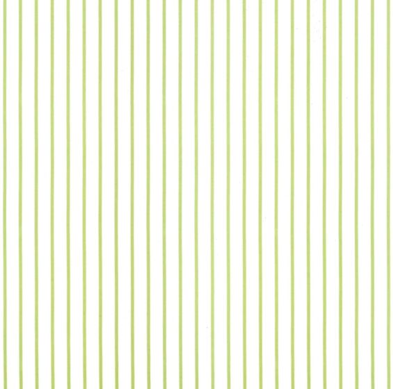 Filete Verde Claro - Porcelana 1