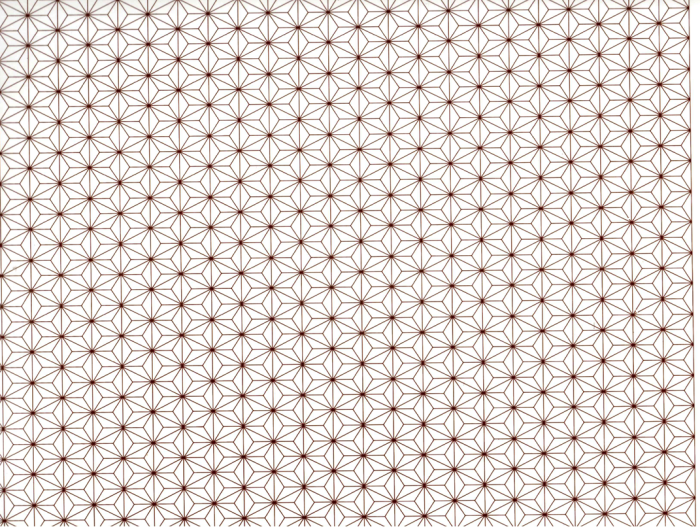 Decalque Geométrico 01 1