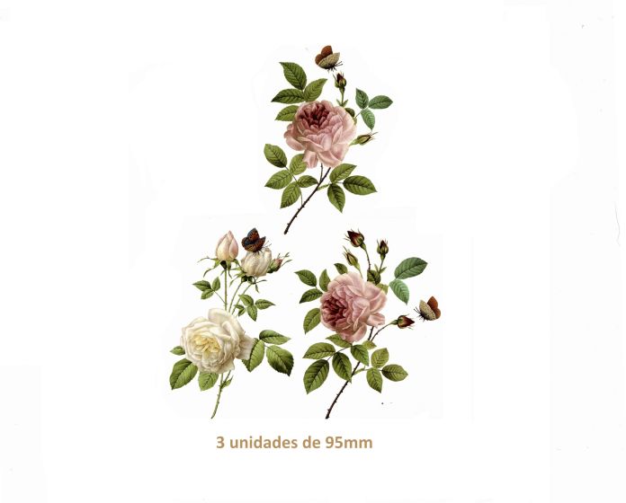 Marite Roses - 95mm 1