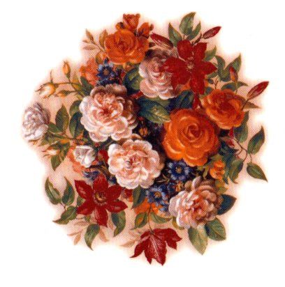 Rose in Bloom 95mm 1