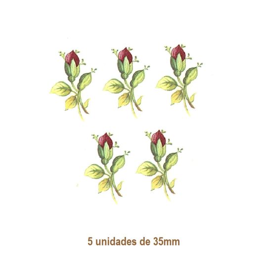 Flowers of September M - 35mm 1