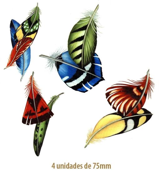 Plumas-75mm-4un.jpg