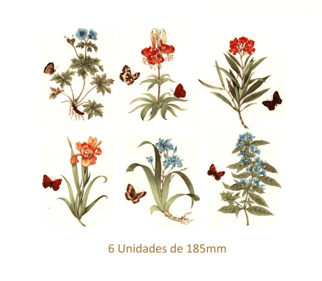 Decalques Flores Botânicas - 185mm 1
