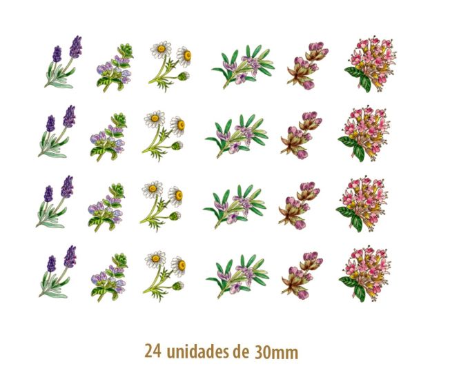 HERBS-30mmx24un.jpg