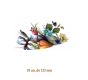 Spring-Crocus-E-125mmx1un.png