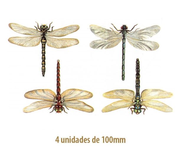 Libellules - 100mm 1