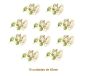 Mistflower-H-45mmx10un.jpg