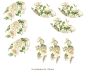 Mistflower-CUps-110mmx9un.jpg