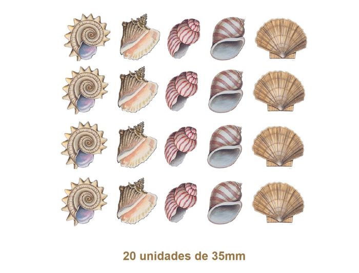 Seashell - 35mm (20un) 1