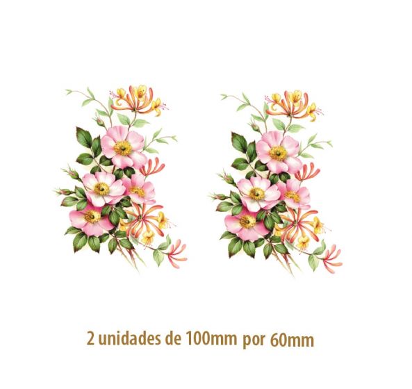 D_Wild-Rose-100x60mm.jpg