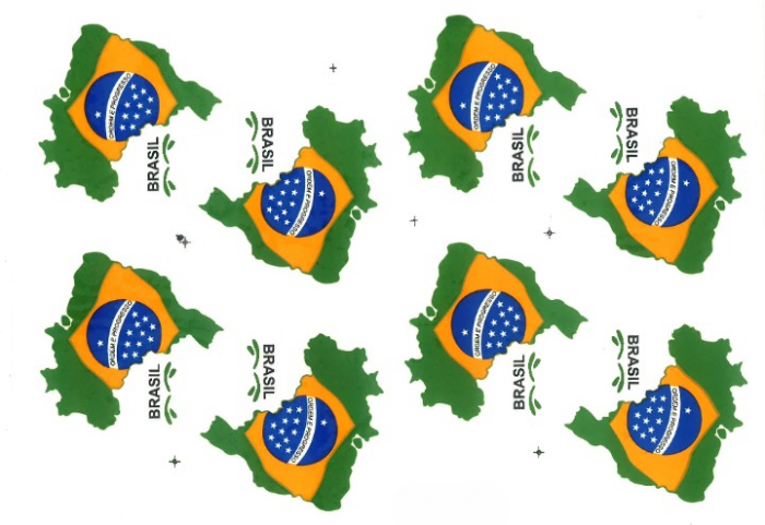Mapa Com Bandeira Do Brasil 1