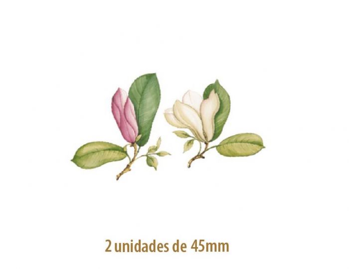 D_Magnolia_45mm_2un.jpg