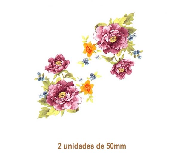 ALEJANDRA-B-50mmx2un.jpg