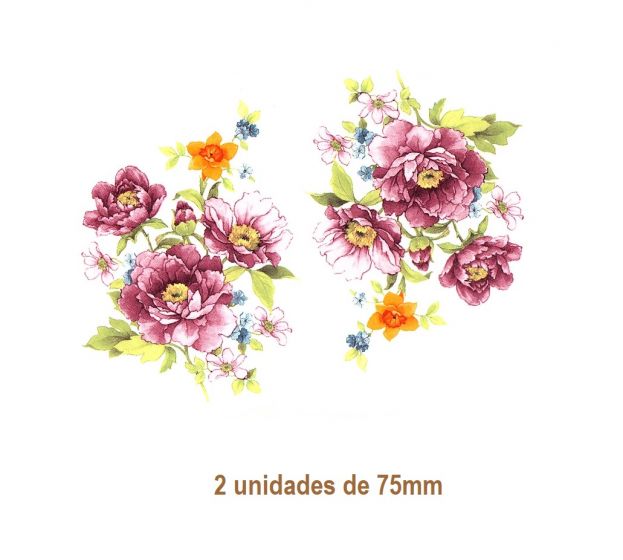 ALEJANDRA-B-75mmx2un.jpg