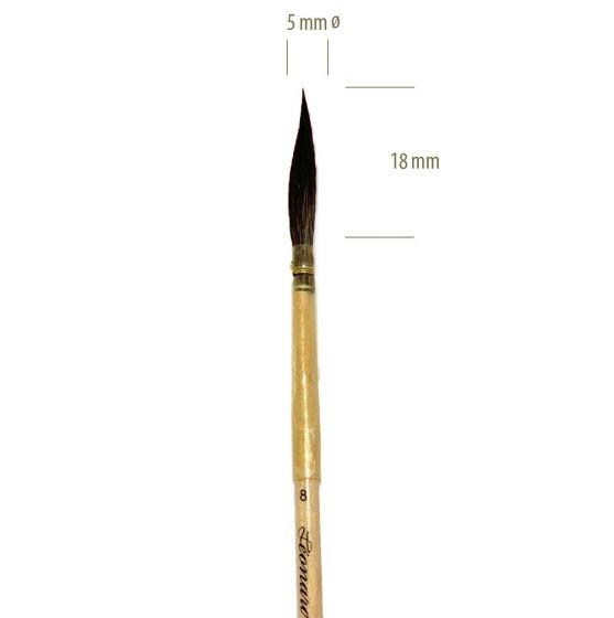 302FS-8-02.jpeg