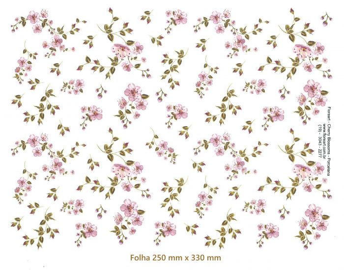 Cherry Blossoms 1