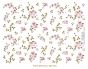 Cherry Blossoms 1
