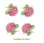 Hortencia-Rosa-50mmx4un.jpg