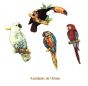 EXOTICBIRDS-130mmx5un.jpg
