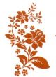 Ouro Flor 07 1