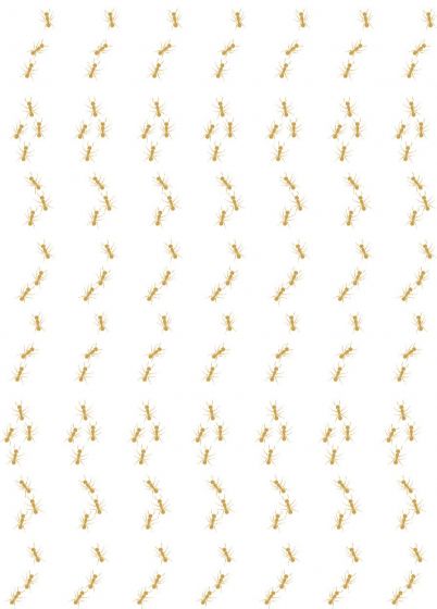 Formigas Ouro_edited.jpg