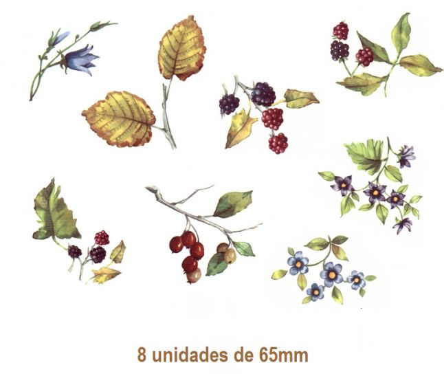 LIBETY-65mmx8un.jpg