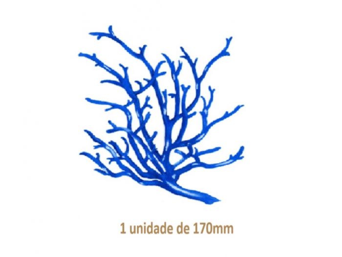 Coral Azul  - 170mm 1