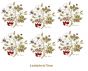 D_RosaCanina-75mmx6un.jpg