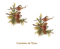 LongTailed-75mmx2un.png