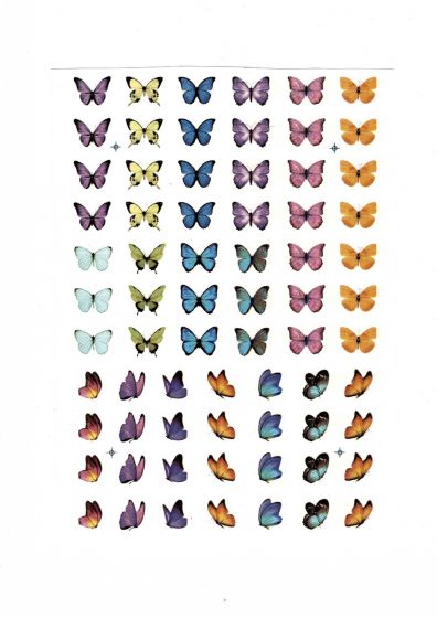 Borboleta Colorida Mini 1