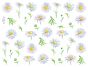 Margarida Daisy - Vidro 1