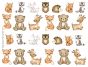 Animais da Floresta 1