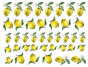 Limões Sicilianos Piccolo 1