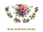 Clau F - 80x46mmX6un 1