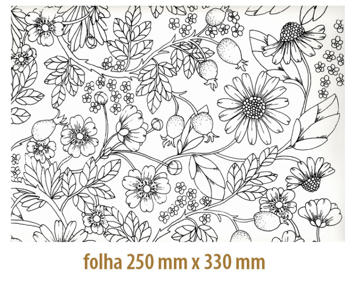 Decalque Contorno Flores e Frutos Preto - Vidro 1