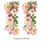 D_Wild-Rose-180mmx2un.jpg