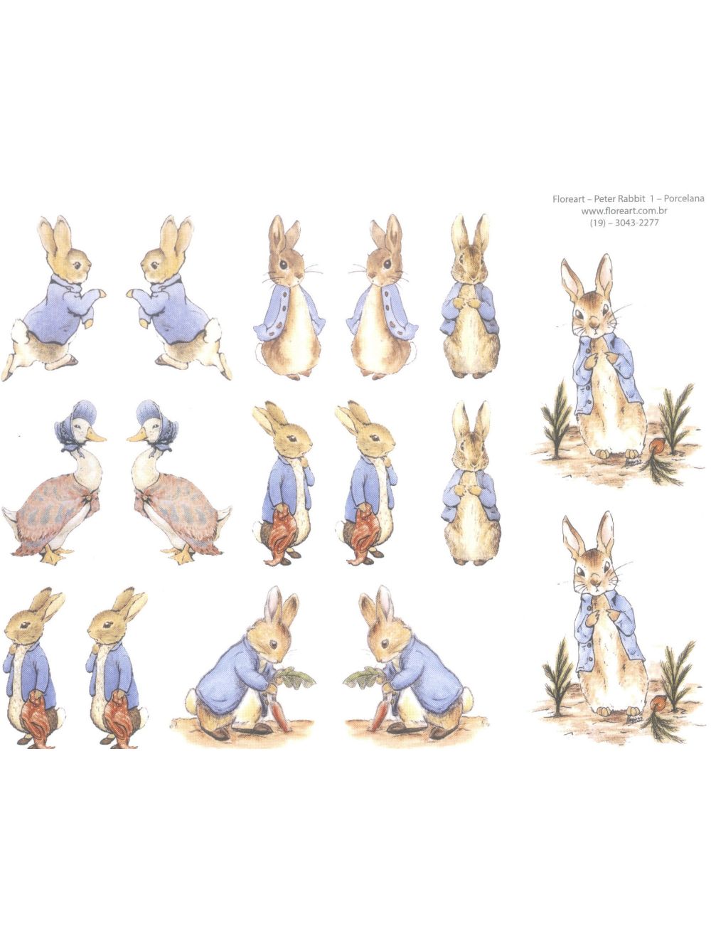 Peter Rabbit 01