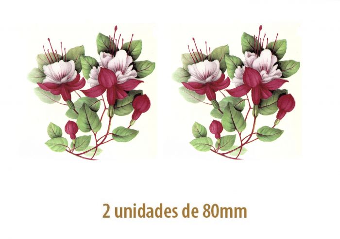D-PINK-FUCSIAx2un_80mm.jpg