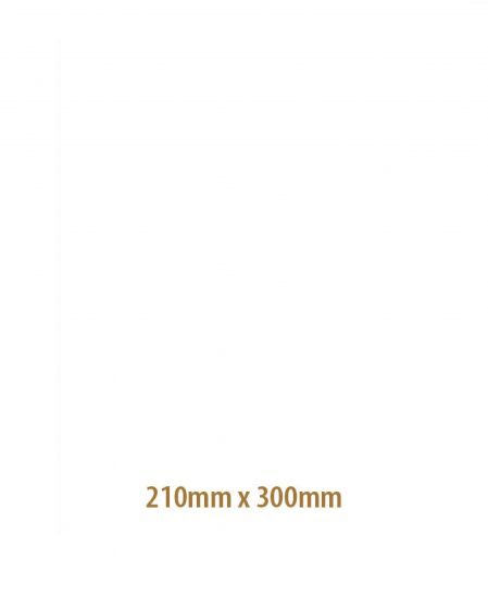 Carbono Branco 1