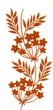 Ouro Flor 15 2
