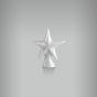 Aplique Estrela 2