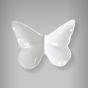 Borboleta Grande 1