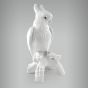 Cacatua sem Arrepio 1