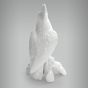 Cacatua sem Arrepio 3