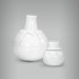Moringa Boneco de Neve 3